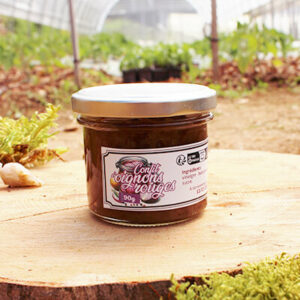Confit d'oignons rouges