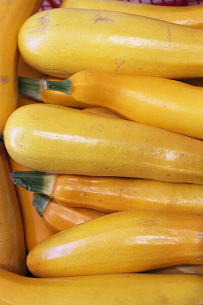 Courgettes jaunes