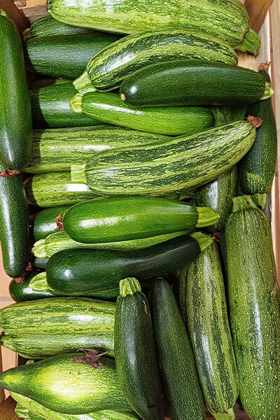 Courgettes