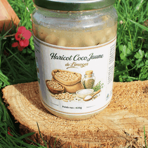 Haricot coco jaune de Limoges