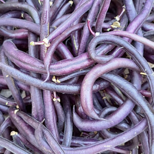 Haricots violets
