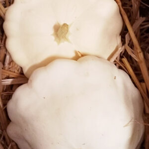 Pâtissons