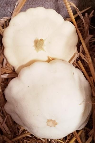 Pâtissons