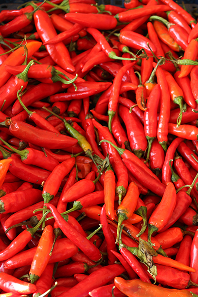 Piments rouges