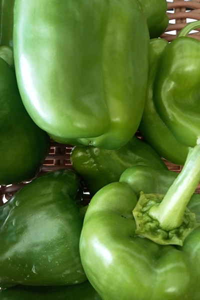 Poivrons trois couleurs