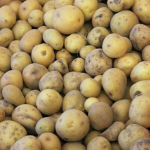 Pommes de terre grenailles