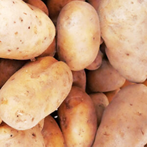 Pommes de terre nouvelles