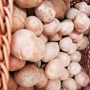 Pommes de terre rouges