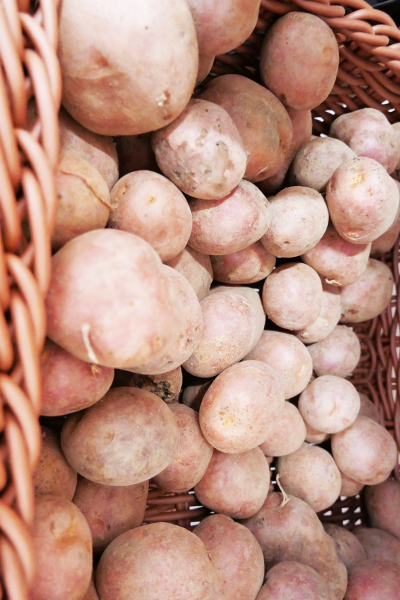 Pommes de terre rouges