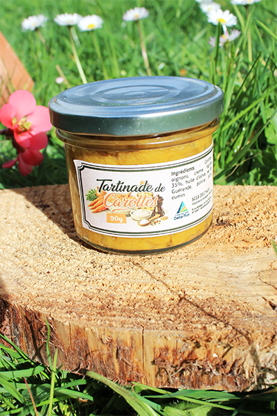 Tartinade de carottes