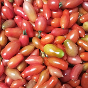 Tomates cerises