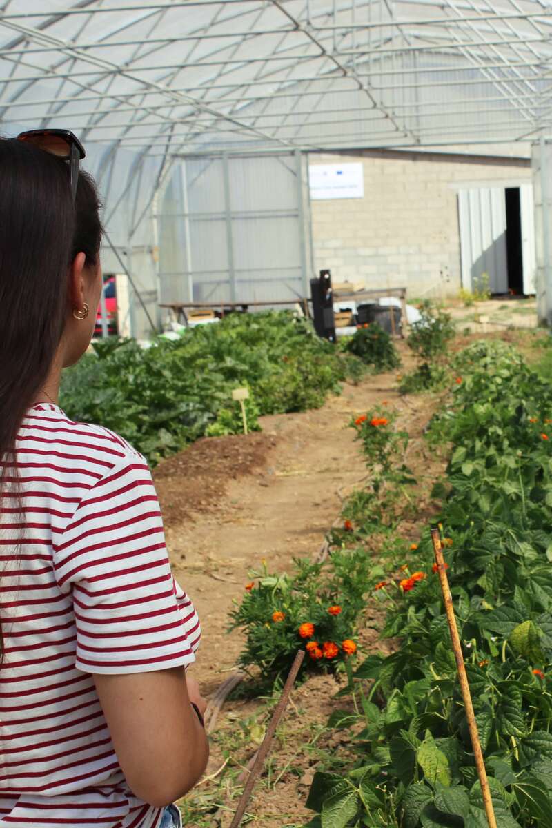 visite-potager-sous-serre